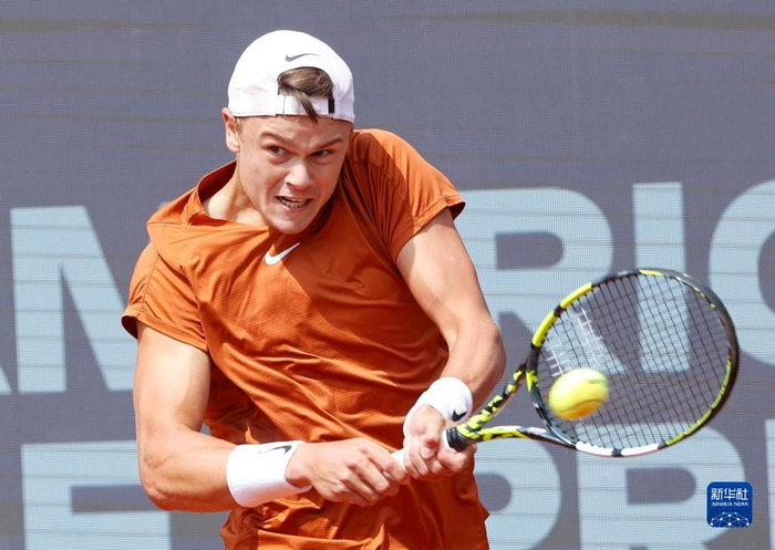 可能被赋予 可能被赋予